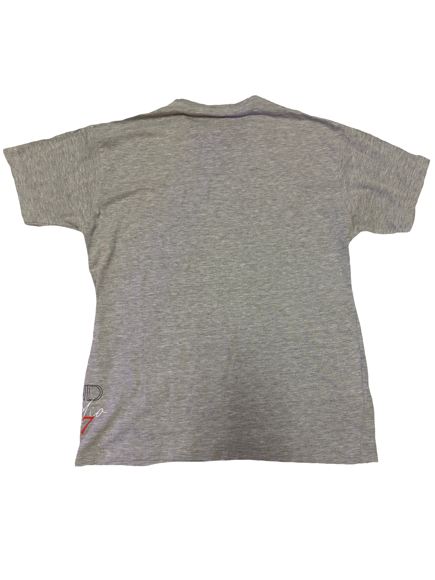 SKELETRIX ISLAND RADIO TEE